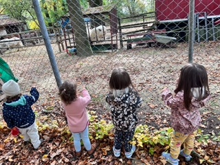 Kinder beobachten Tiere am Zaun